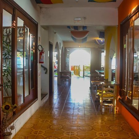 Geckos Hostel Florianópolis Extérieur photo